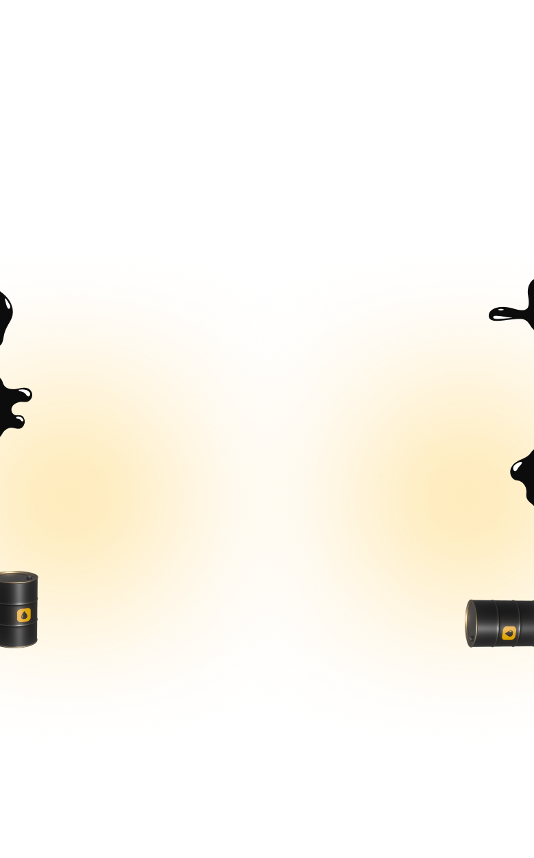 Project preview